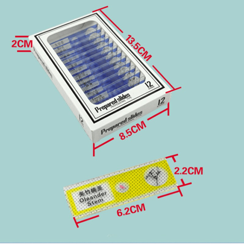 Prepared Microscope Slides Lab Biology Specimen 6