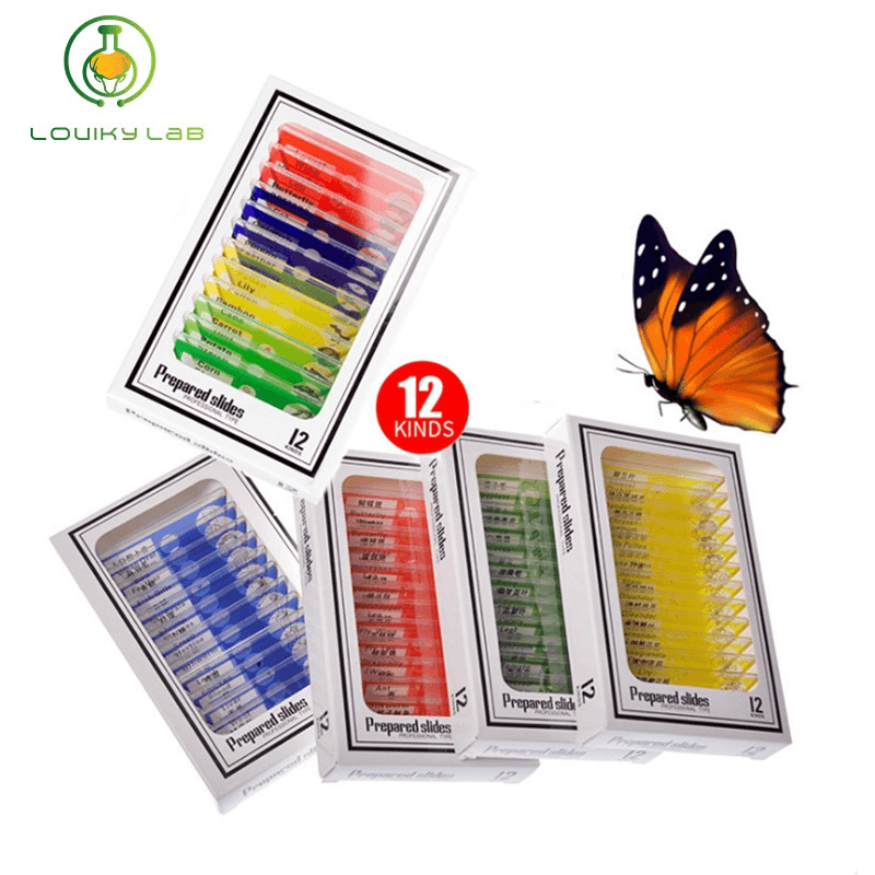 Prepared Microscope Slides Lab Biology Specimen