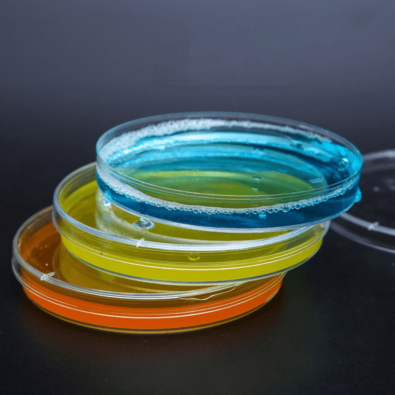 10Pcs Sterile Plastic Petri Dishes with Lid for School Science and Party Diameter 35/60/70/90/120/150mm