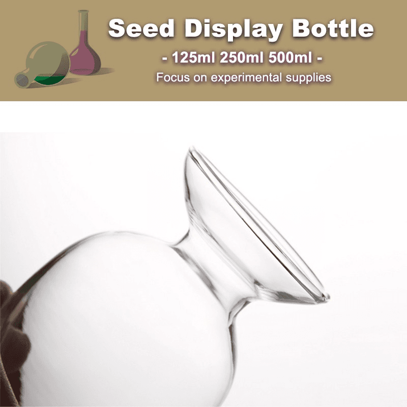 Conical Glass Seed Bottle 125ml 250ml 500ml Transparent Display Bottle with Stopper for Laboratory 5