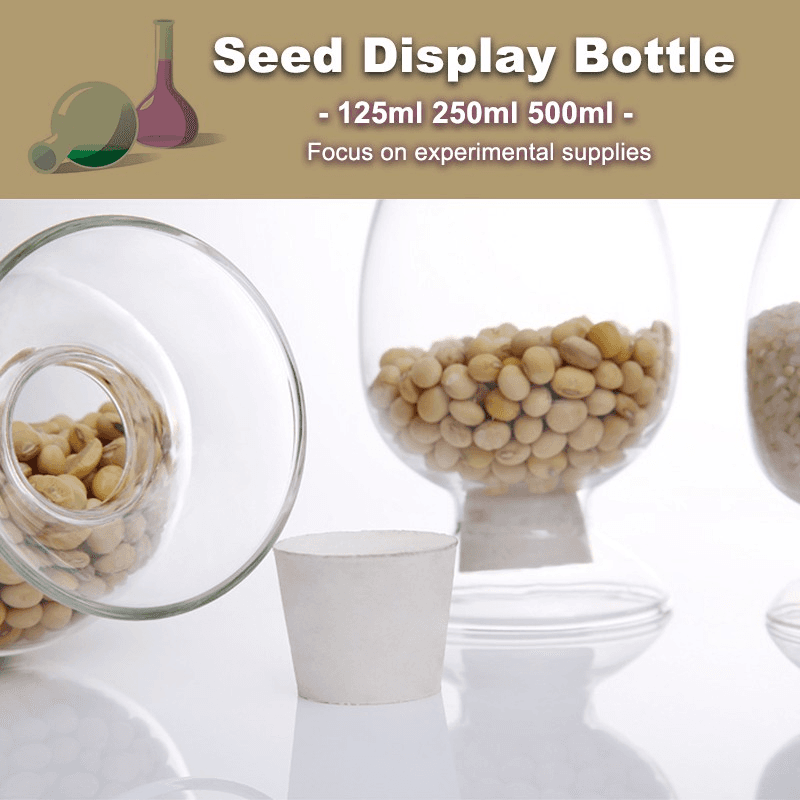 Conical Glass Seed Bottle 125ml 250ml 500ml Transparent Display Bottle with Stopper for Laboratory 6