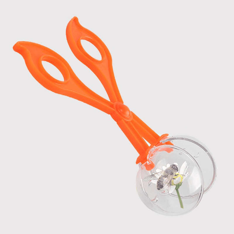 Insect Clip Round Head Scissors Clip Kids Plant Insect Exploration for Biology Laboratory 5
