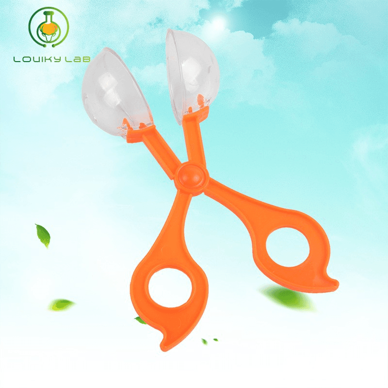 Insect Clip Round Head Scissors Clip Kids Plant Insect Exploration for Biology Laboratory